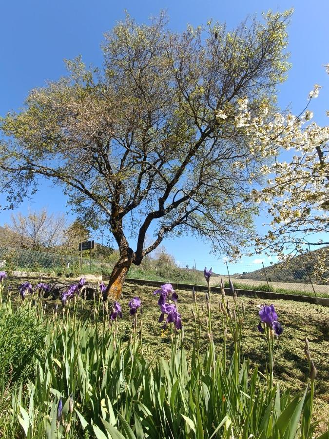 Agriturismo Terramia Meggiano 外观 照片