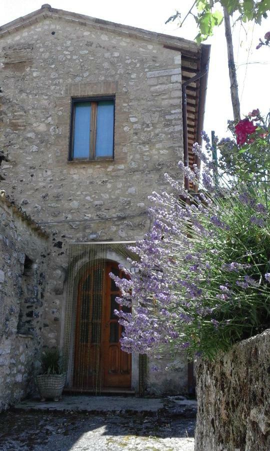 Agriturismo Terramia Meggiano 外观 照片