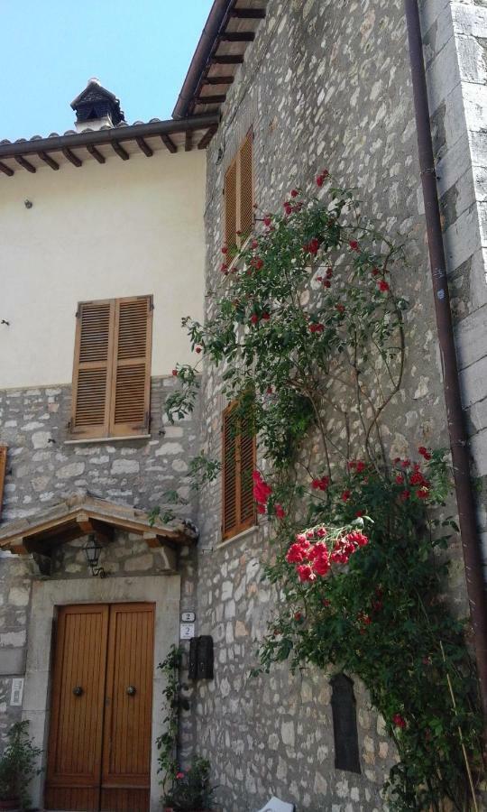 Agriturismo Terramia Meggiano 外观 照片